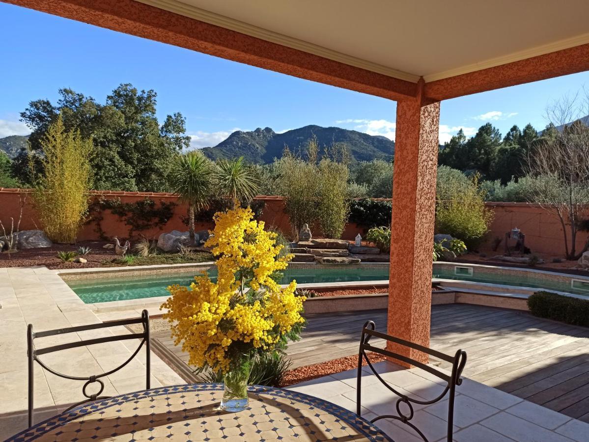 Villa Sorède Zimmer foto